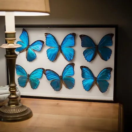 別荘 Chateau De La Moriniere